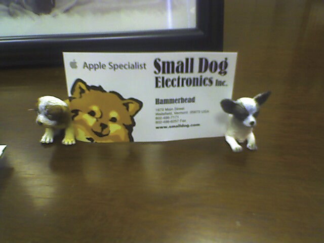 Smalldog Small Dogs