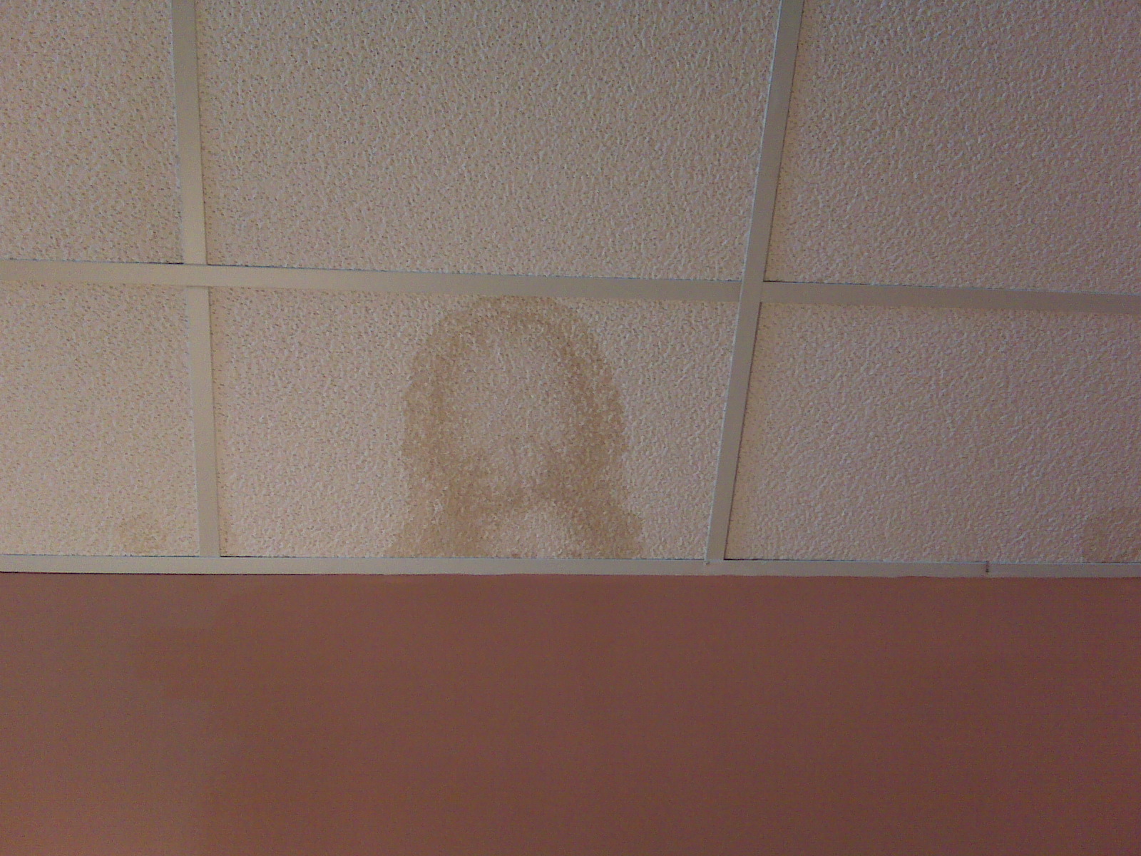 Jesus in the ceiling